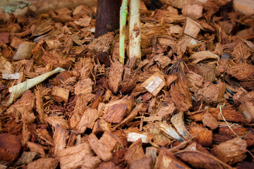 Coconut residue