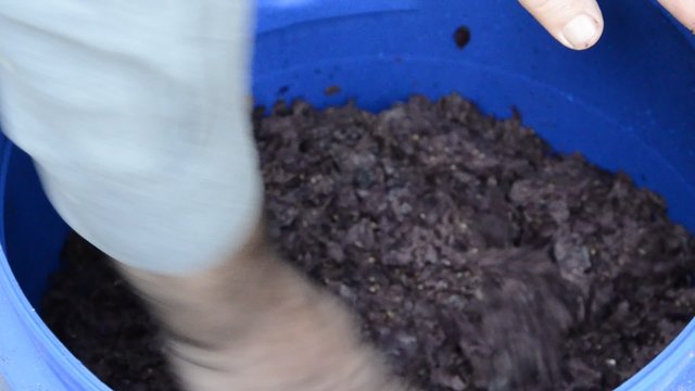 Brovada Brovade Broade Cusine furlane המטבח האיטלקי