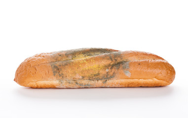 Mold On Bread