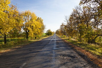 Fototapeta na wymiar small country road 