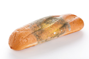 Mold On Bread