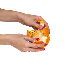  Women's hands with orange on white background