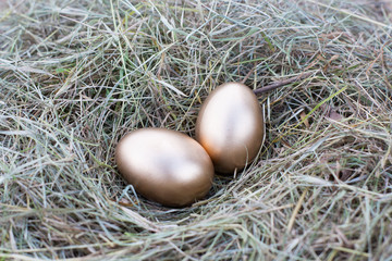 Naklejka na ściany i meble Golden egg in a nest of hay.