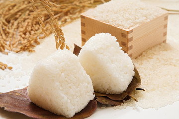 塩おおにぎりと新米