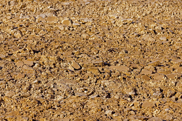 plowed land   close up.