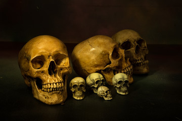 Still life painting photography with human skulls