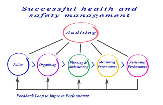 Successful health and safety management