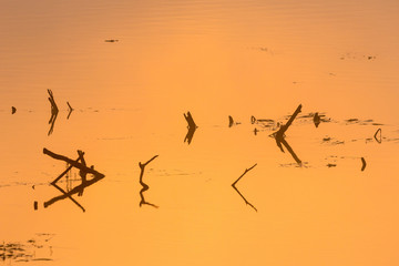 Water reflections of sunrise in the lake