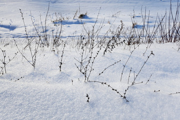 snow covered field  
