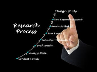 Standard Model of the Research Process