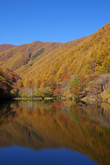 紅葉した秋の湖