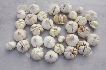 Gralic on a tile background - herb, seasoning