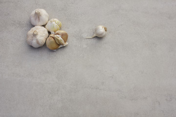 Gralic on a tile background - herb, seasoning