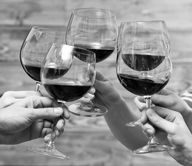 Clinking glasses of red wine in hands,  black and white retro stylization