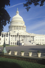 Fototapeta premium United States Capitol Building, Washington, D.C.