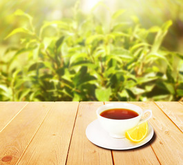 Cup of tea on wooden table, on nature background