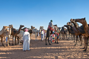 Saoedi-Arabië, de kamelenmarkt & 39 Souq Al Jamal& 39  in de buitenwijk van Rijadh