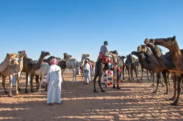 Tuinposter Kameel Saoedi-Arabië, de kamelenmarkt & 39 Souq Al Jamal& 39  in de buitenwijk van Rijadh