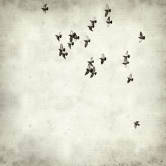 textured old paper background