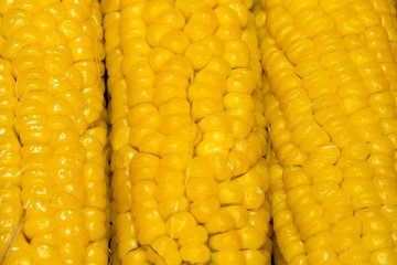 Corn Cob Macro