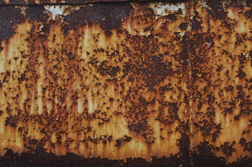Rust texture as metal plate