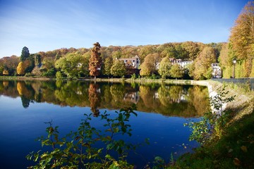 Fototapeta premium Etang