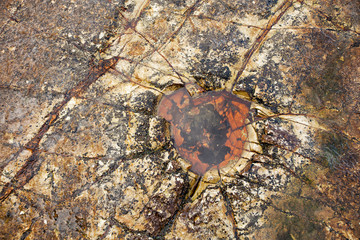 Rock Formations at the beach