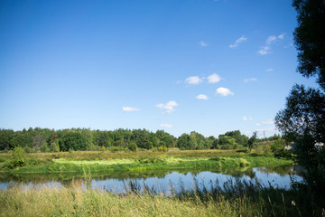 Green Forest and River