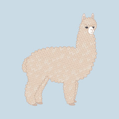 Cute knitted alpaca. Cartoon animal. Knitted texture. Vector illustration, eps10.
