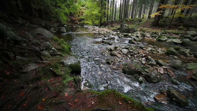 Forest stream in autumn, Karkonosze Mountains, Poland.