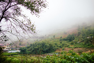 countryside in thailand with misty fog