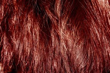 Fototapeta premium Red Hair Texture