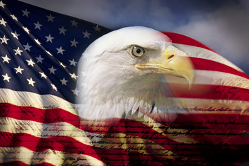 Digital composite: American bald eagle and flag is underlaid with the handwriting of the US...