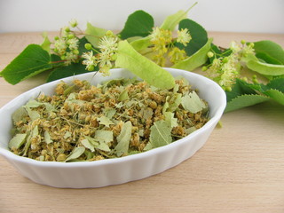 Frische und getrocknete Lindenbl&uuml;ten