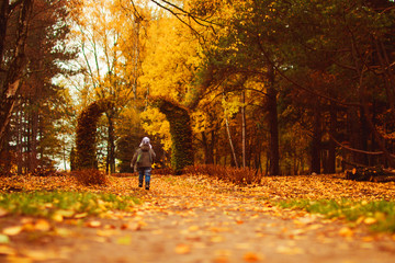 child walks in autumn park
