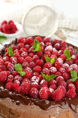 Cake with Chocolate Glaze and raspberries on color wooden background