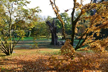 Verbania, Villa Taranto. I colori dell'autunno