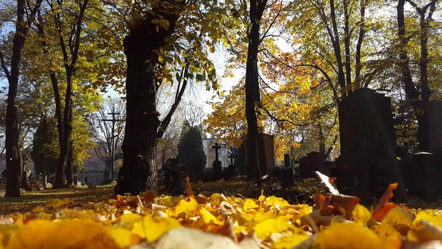Herbst am Friedhof