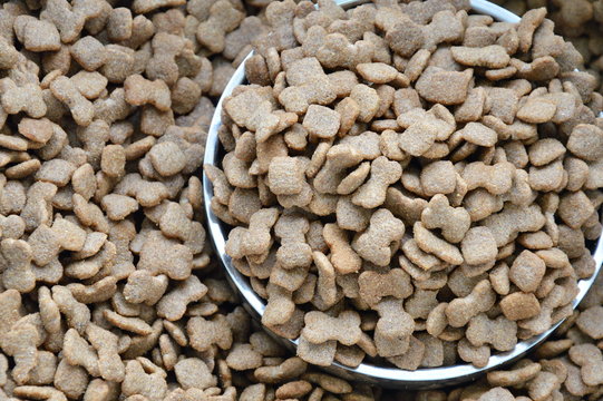 dog food on stainless bowl