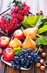 autumn fruits