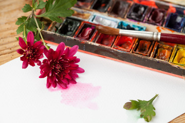 Watercolor paint box, flowers and brushes for painting
