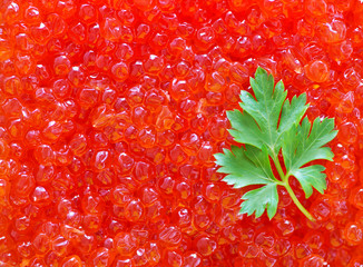 salmon caviar