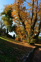 Verbania, Villa Taranto. I colori dell'autunno