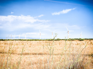 Wind Turbines in the country