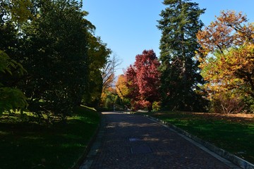 Verbania, Villa Taranto. I colori dell'autunno