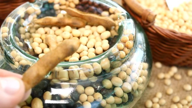 Jar of soy, soy bean in hand Tracking focus Handheld camera