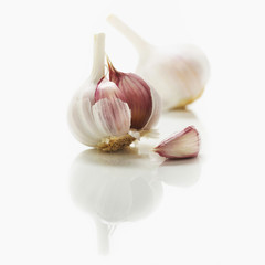 Fresh garlic bulbs on a white kitchen counter.