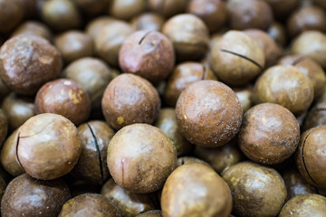 closeup macadamia nuts