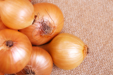 Group of onions on the table