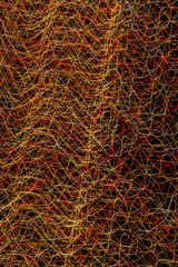 Abstract image of colourful lights in motion.